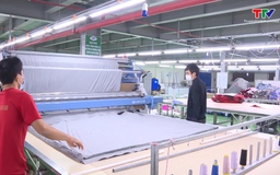 Doanh nghiệp linh hoạt cơ cấu mặt hàng, ổn định sản xuất