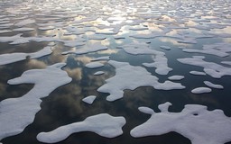 Nga: Khai mạc Hội nghị biến đổi khí hậu và tan băng vĩnh cửu