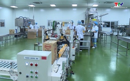 Nỗ lực thực hiện mục tiêu sản xuất công nghiệp 2023