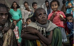 Tổng Thư ký Liên hợp quốc: Cần 7 tỷ USD để ngăn chặn nạn đói ở vùng Sừng châu Phi