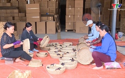 Xây dựng sản phẩm Ocop, góp phần giải quyết việc làm
