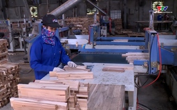 Xuất khẩu gỗ và sản phẩm gỗ vẫn còn khó khăn