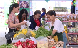 Kết nối cung cầu - Cơ hội mở rộng thị trường tiêu thụ nông sản thực phẩm an toàn