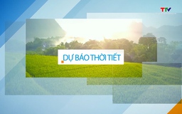 Dự báo thời tiết khu vực tỉnh Thanh Hóa đêm 07/10, ngày 08/10/2024