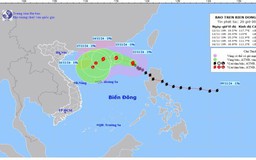 Baõ số 8 giật cấp 12, di chuyển theo hướng Tây Bắc, tốc độ khoảng 10km/h