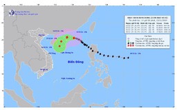 Tin bão trên Biển Đông (Bão số 8)