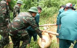 Tiêu hủy thành công quả bom còn sót lại sau chiến tranh