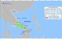 Áp thấp nhiệt đới giật cấp 8, di chuyển theo hướng Đông Bắc