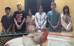 Công an thị xã Bỉm Sơn bắt 4 vụ, 13 đối tượng phạm tội về ma túy