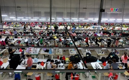 Yên Định: Các doanh nghiệp dệt may tạo việc làm cho gần 6 ngàn lao động
