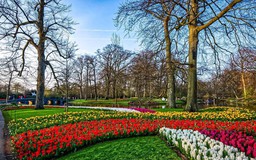 Vườn hoa Tulip lớn nhất thế giới mở cửa đón khách tham quan