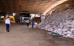 Các doanh nghiệp cung ứng khoảng 26.650 tấn phân bón các loại