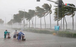 Sẽ có khoảng 11 - 13 cơn bão, áp thấp nhiệt đới trên Biển Đông