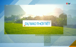 Video: Dự báo thời tiết khu vực tỉnh Thanh Hóa đêm 14/5, ngày 15/5/2024