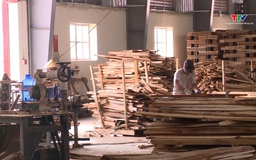 Thanh Hóa: Doanh nghiệp ngành gỗ đẩy mạnh sản xuất và xuất khẩu