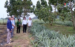 Hội Làm vườn và Trang trại Thanh Hóa góp phần nâng cao chất lượng, hiệu quả sản xuất nông nghiệp
