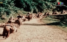 Chiến thắng Điện Biên Phủ - Chiến thắng của chủ nghĩa Anh hùng Cách mạng