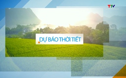 Video: Dự báo thời tiết khu vực tỉnh Thanh Hóa đêm 07/5, ngày 08/5/2024