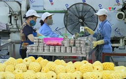 Xuất khẩu nông, lâm, thủy sản của Việt Nam tiếp tục có nhiều khởi sắc