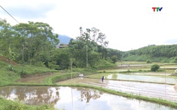 Người dân ở miền núi Thanh Hóa thiếu đất sản xuất