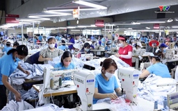 Việt Nam dẫn đầu thị phần xuất khẩu hàng dệt may tại Mỹ