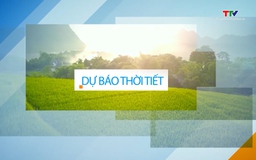 Video: Dự báo thời tiết khu vực tỉnh Thanh Hóa đêm 27/7, ngày 28/7/2024