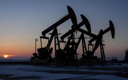 Giá dầu thế giới tăng lên mức cao nhất trong hai tháng