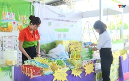 Đa dạng các mặt hàng tại Chợ trưng bày, giới thiệu, quảng bá sản phẩm OCOP và ẩm thực xứ Thanh