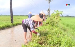 Đảm bảo môi trường trong sản xuất nông nghiệp