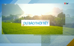 Video: Dự báo thời tiết khu vực tỉnh Thanh Hóa đêm 9/8, ngày 10/8/2024