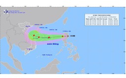 Trong 24 đến 48 giờ tới, áp thấp nhiệt đới có khả năng mạnh lên thành bão
