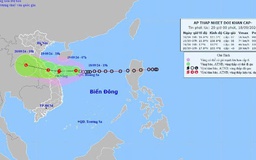 Thủ tướng chỉ đạo tập trung ứng phó áp thấp nhiệt đới có khả năng mạnh lên thành bão và mưa lũ