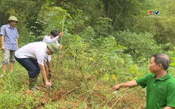 Huyện Bá Thước: 26 hộ dân khu vực nguy cơ cao sạt lở cao phải di dời