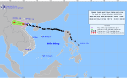 Bão số 3 (bão Yagi) đã suy yếu thành áp thấp nhiệt đới