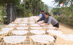 Ngọc Lặc: Sản xuất bánh canh dong phục vụ Tết