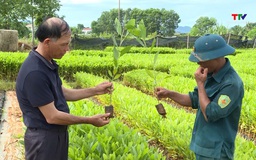 Nghiên cứu, chuyển giao kỹ thuật thâm canh cây trồng mới phục vụ sản xuất nông nghiệp