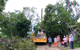 Điện lực Thanh Hóa khắc phục hậu quả bão số 10