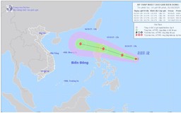 Chủ động ứng phó với áp thấp nhiệt đới gần Biển Đông