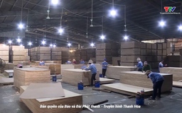 Dự báo Việt Nam sẽ dẫn đầu khu vực Đông Nam Á về mức tăng lương trung bình trong năm 2025 và 2026