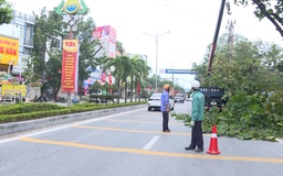 Phường Hạc Thành cắt tỉa cây xanh đảm bảo an toàn giao thông