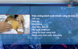 Cẩn trọng với bệnh xoắn khuẩn vàng da mùa lũ