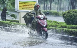Chủ động ứng phó với thiên tai, đảm bảo an toàn cho Nhân dân và thành công của Đại hội Đảng bộ tỉnh