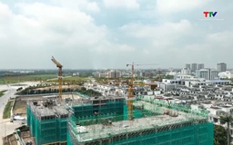 Lãi suất ưu đãi thúc đẩy nhu cầu an cư