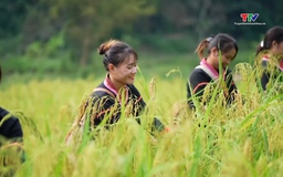Đồng bào vùng cao Thanh Hóa hướng về Đại hội Đảng