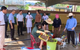 Bộ Y tế khuyến cáo tuyệt đối không sử dụng gia súc, gia cầm chết làm thức ăn 