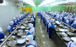 Xuất khẩu thủy sản tăng trưởng mạnh, kỳ vọng về đích 11 tỷ USD
