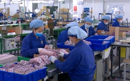 GDP quý IV phải tăng ít nhất 9,5%