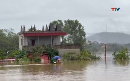 Nước sông Bưởi vượt báo động 3, hàng nghìn nhà dân xã Kim Tân ngập sâu trong lũ
