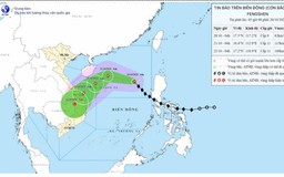 Bão số 12 cách đặc khu Hoàng Sa khoảng 540km về phía Đông Đông Bắc