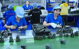 Kim ngạch thương mại Việt Nam - EU tăng trưởng bình quân 10,1%/năm